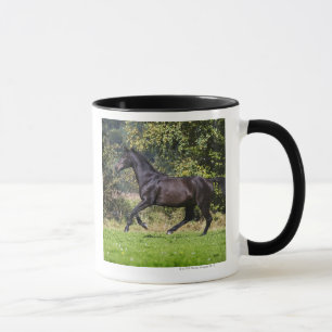 Caneca cavalo marrom que funciona no prado