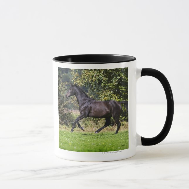 Caneca cavalo marrom que funciona no prado (Direita)