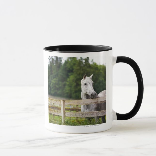 Caneca Cavalo no campo que olha sobre a cerca (Direita)