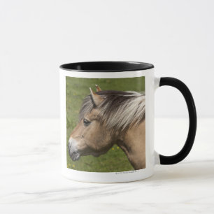 Caneca Cavalo norueguês do fiorde
