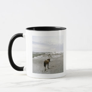 Caneca Cavalo que anda na praia