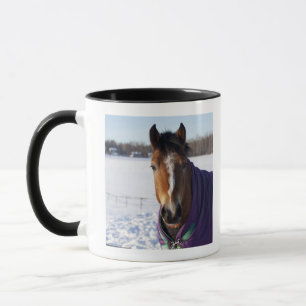 Caneca Cavalo que pasta em um campo coberto de neve em