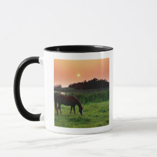 Caneca Cavalo que pasta no campo no por do sol perto de