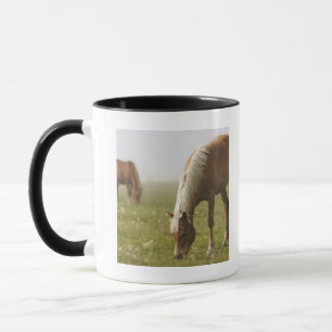 Caneca Cavalos, flor silvestre, neblina, Piano