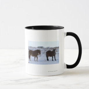 Caneca Cavalos no cabo Kiritappu, prefeitura de Hokkaido,