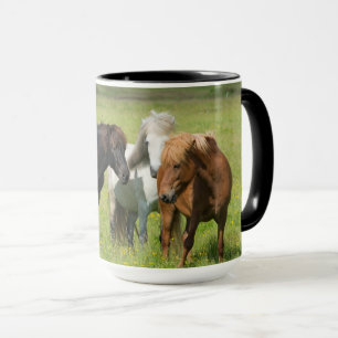 Caneca Cavalos no Ranch, Sul da Islândia