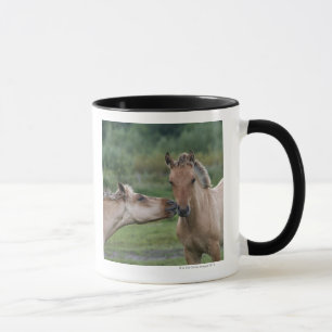 Caneca Cavalos novos de Henson que encontram-se