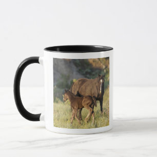 Caneca Cavalos Selvagens no Theodore Roosevelt National P