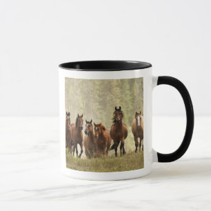 Caneca Cavalos subindo um pequeno morro durante a reunião