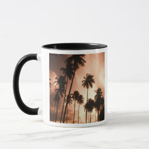 Caneca Caye Ambergris, Belize, América Central. 2