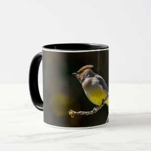 Caneca Cedar Waxwing Songbird Original Foto de Pássaro Se