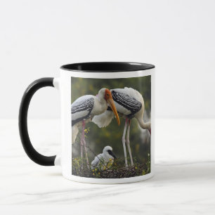 Caneca Cegonhas-pintadas e filhote no ninho, Keoladeo