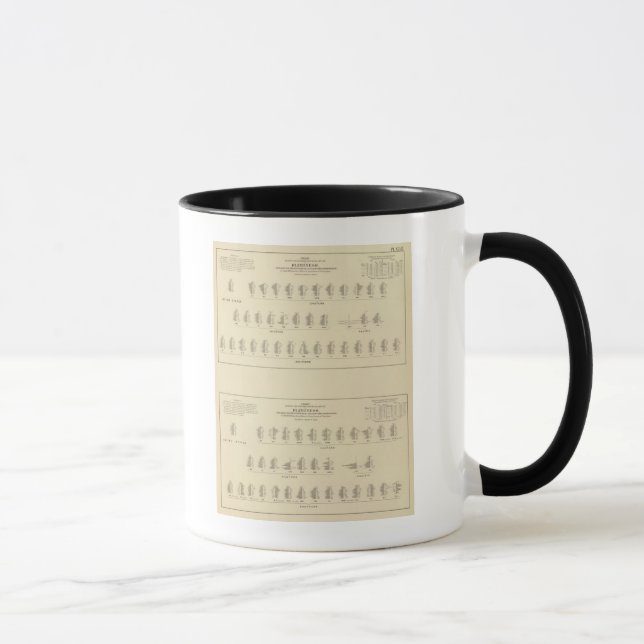 Caneca Cegueira, litógrafo estatístico norte-americano (Direita)