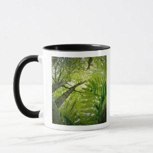 Caneca Cena da floresta no Parque Nacional Acadia, Maine.