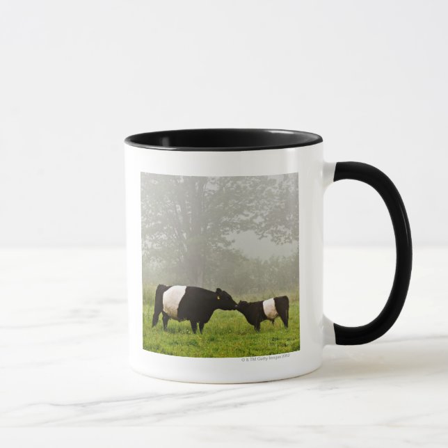 Caneca Cena enevoada da vaca cercada de Galloway que sere (Direita)