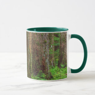 Caneca Cenário de floresta antiga