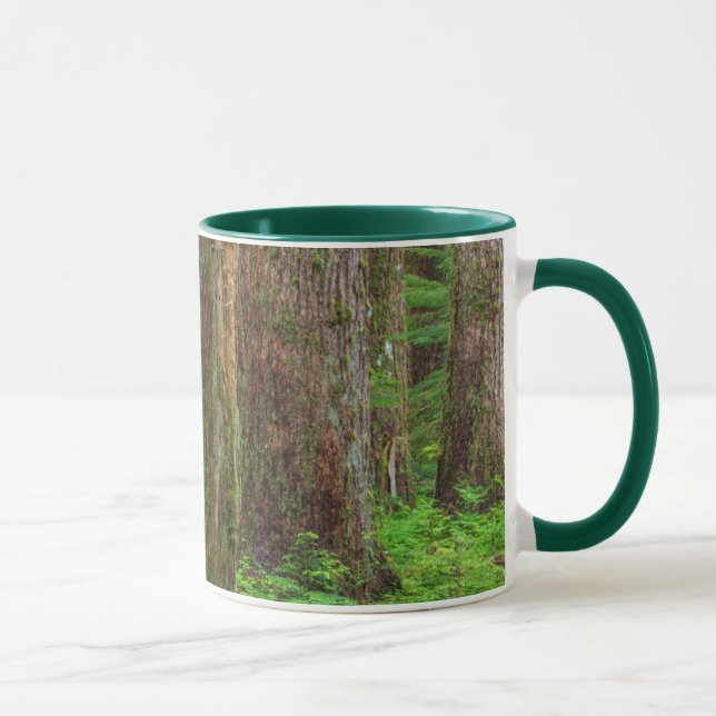 Caneca Cenário de floresta primária (Direita)