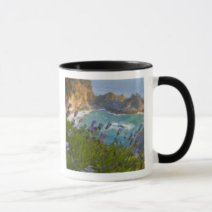 Caneca Cenário de McWay Falls desaba na praia e