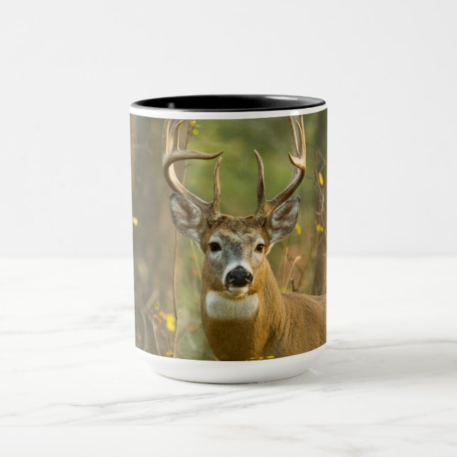 Caneca Cervo de Cauda Branca Macho | Whitefish, Montana (Centro)