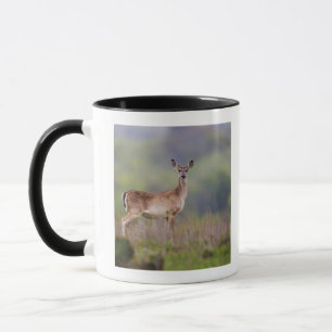 Caneca Cervos Branco-Atados