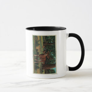 Caneca Cervos do fanfarrão no parque nacional de Yosemit
