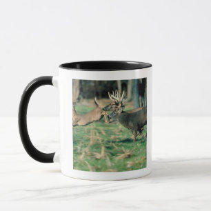 Caneca Cervos que funcionam na floresta