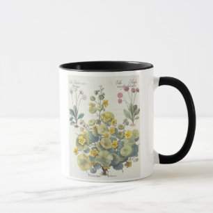 Caneca Chagas e margaridas: 1.Nasturtium Indicum; 2.B