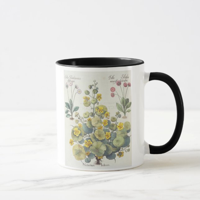 Caneca Chagas e margaridas: 1.Nasturtium Indicum; 2.B (Direita)