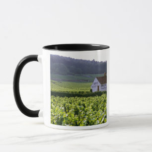 Caneca Chambertin Clos de Beze Grand Cru vinhedo com