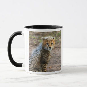 Caneca Cheetah Cub Acinonyx Jubatus), tal como se vê no