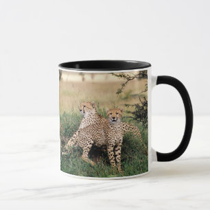 Caneca Cheetah Pair