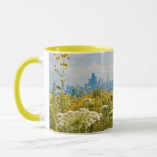 Caneca Chicago como visto do pássaro do porto de Montros