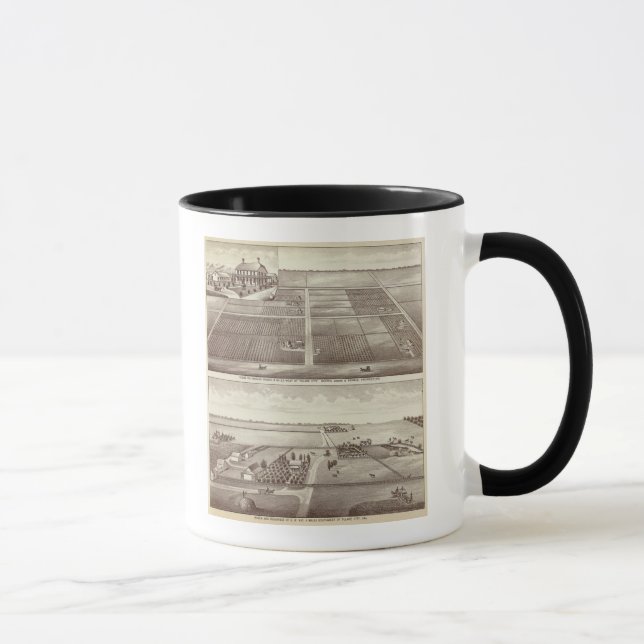 Caneca Chicago, fazendas Kay (Direita)