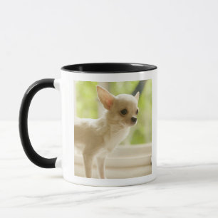 Caneca Chihuahua