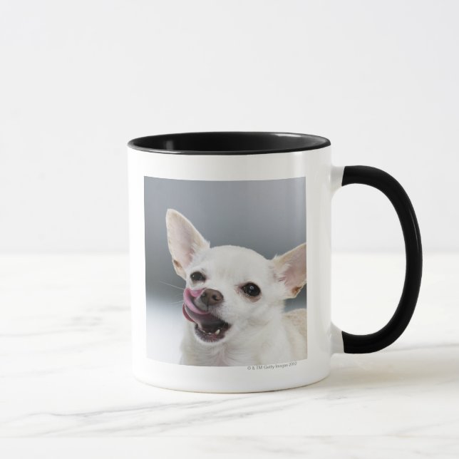 Caneca Chihuahua branca que lambe os lábios (Direita)