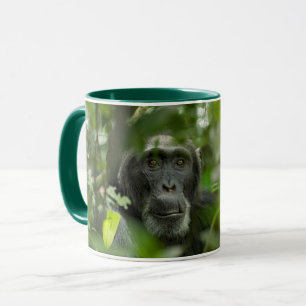 Caneca Chimpanzé Escondido Entre Vegetação