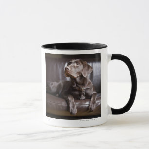 Caneca Chocolate labrador retriever