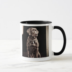 Caneca Chocolate labrador retriever