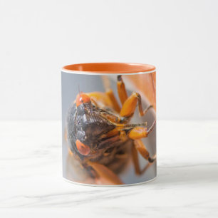 Caneca Cicada Mania Magicada Laranja