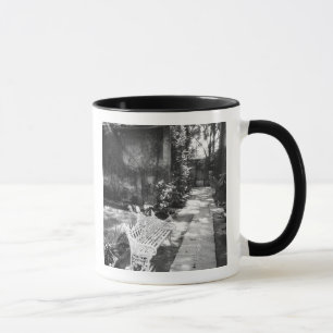Caneca CIDADE DO MÉXICO, D.F., México, COYOACAN: Banco em
