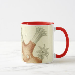 Caneca Ciência — Biologia Do Livro De Têxteis — Animais D