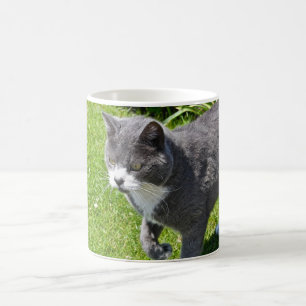 Caneca cinzenta e branca do gato