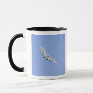 Caneca Cisnes de Whooper que voam no céu