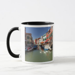 Caneca Cisnes no canal, Ilha de Burano, Veneza, Itália
