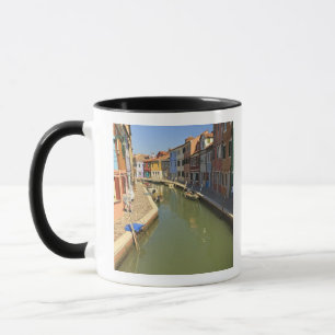 Caneca Cisnes no canal, Ilha de Burano, Veneza, Itália