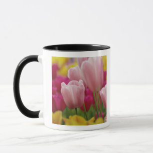 Caneca Close-up da flor de tulipa, Jardins Kuekenhof,