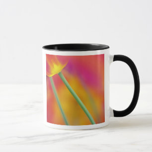Caneca Close-up da parte inferior da flor de tulipa,