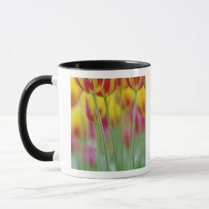 Caneca Close-up da parte inferior da flor de tulipa, 3