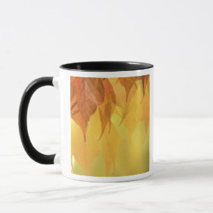 Caneca Close-up das Folhas de Outono em um Galho