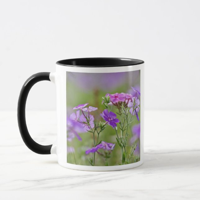 Caneca Close-up de Phlox de Drummond, Phlox drummondi, 2 (Esquerda)